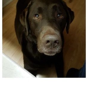 Meet your Posher, Tracey